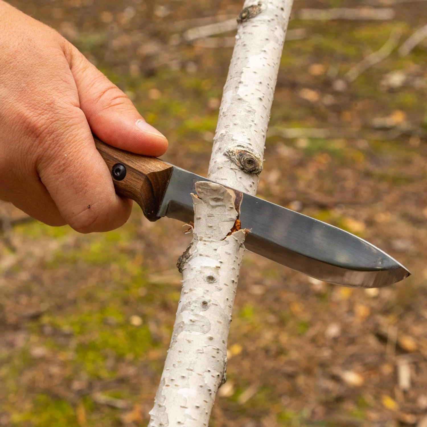 BPS Knives BS2 FT CSH Bushcraft Camping Fixed Blade Knife, Leather Sheath 10 BPS Knives BS2 FT CSH Bushcraft Camping Fixed Blade Knife, Leather Sheath - Image 8