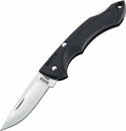 Buck Nano Bantam, Folding Knife 283BKS, Black Handle