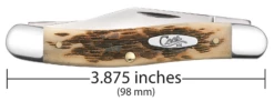Case Amber Bone Peach Seed Jig (SS) Stockman Folder Knife #00128 -KNIFE SUPPLIES Sales CA00128 3