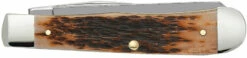 Case Amber Bone Peach Seed Jig (SS) Large Trapper Folder Knife #00164