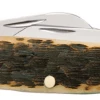 Case Amber Bone Peach Seed Jig (CS) Large Stockman Folder Knife #00204 1 Case Amber Bone Peach Seed Jig (CS) Large Stockman Folder Knife #00204 -KNIFE SUPPLIES Sales CA00204