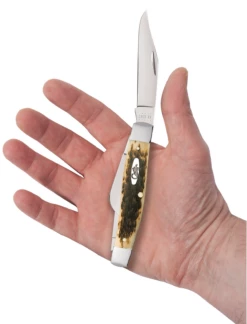 Case Amber Bone Peach Seed Jig (CS) Large Stockman Folder Knife #00204 -KNIFE SUPPLIES Sales CA00204 2