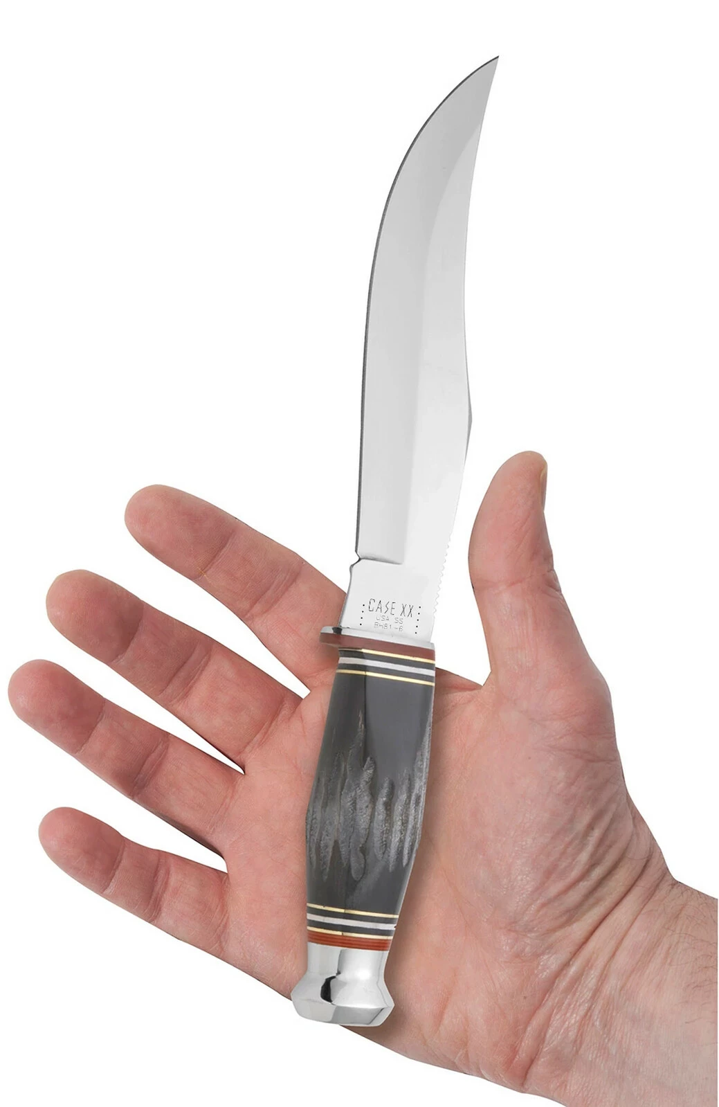 Case Buffalo Horn 6" Skinner Hunter Fixed Blade Knife With Sheath #17910 4 Case Buffalo Horn 6" Skinner Hunter Fixed Blade Knife With Sheath #17910 - Image 2