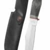 Case Buffalo Horn 6" Skinner Hunter Fixed Blade Knife With Sheath #17910 -KNIFE SUPPLIES Sales CA17910