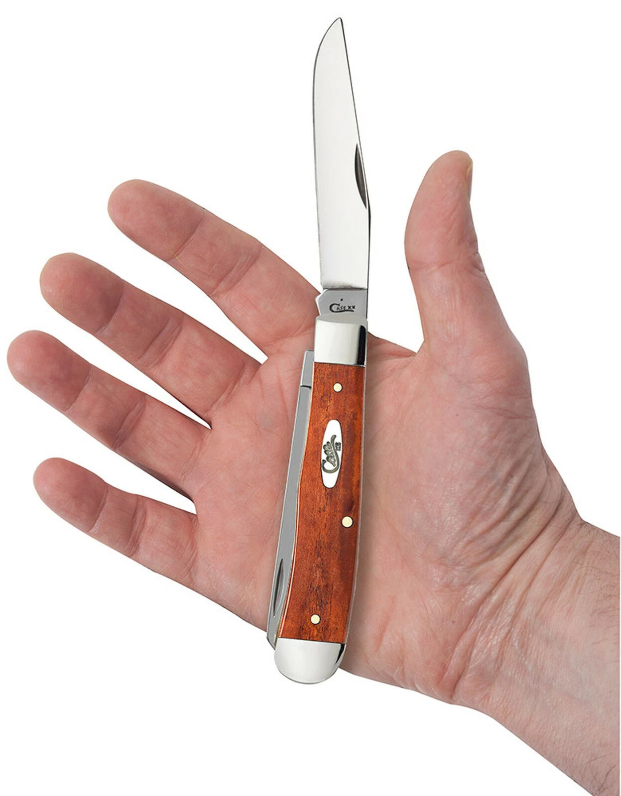 Case Smooth Chestnut Bone (SS) Large Trapper Folder Knife #28707 7 Case Smooth Chestnut Bone (SS) Large Trapper Folder Knife #28707 - Image 5