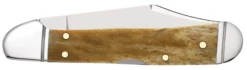 Case Smooth Antique Bone (SS) Mini Copperlock Folder Knife #58186