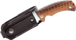 FOX PRO-HUNTER, Bohler N690Co Steel, Santos Wood Hunting Folder Knife - Model FX-130 DW -KNIFE SUPPLIES Sales FOX130DW 3