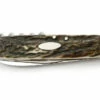 Puma Taschenmesser 421 Staghorn Folder Knife - 210421 -KNIFE SUPPLIES Sales PU210421
