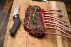 Zero Tolerance Large Sinkevich KVT Red Carbon Fibre CPM20CV Folder Knife 0462 -KNIFE SUPPLIES Sales ZT0462 3